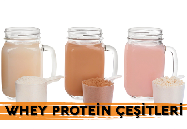 Whey Protein Çeşitleri Nelerdir